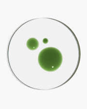 Duo Sérum Concentré Purifiant et sa recharge