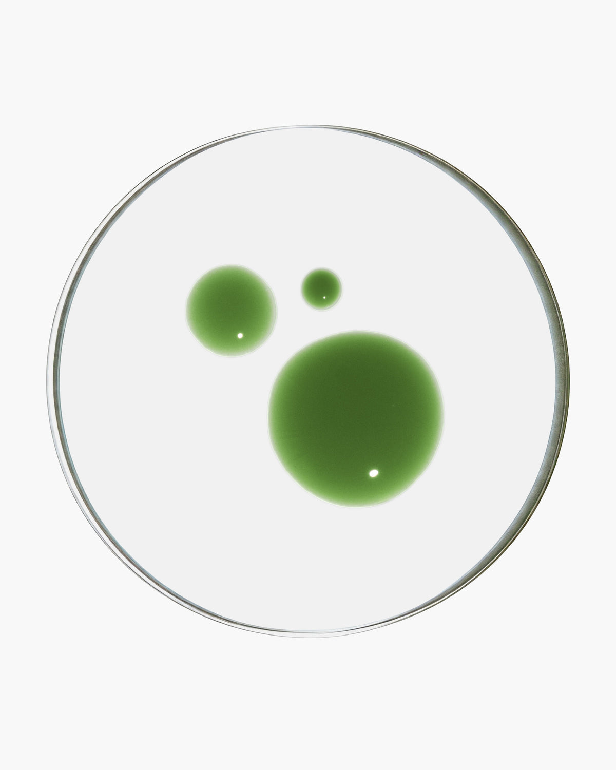 Duo Sérum Concentré Purifiant et sa recharge